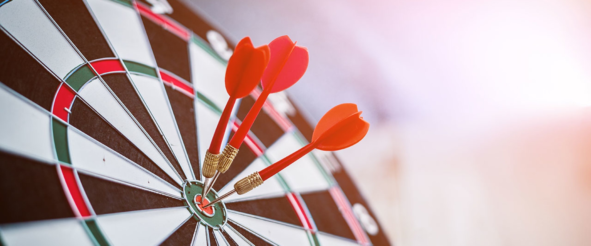 Achieving Goals with Executive Coaching