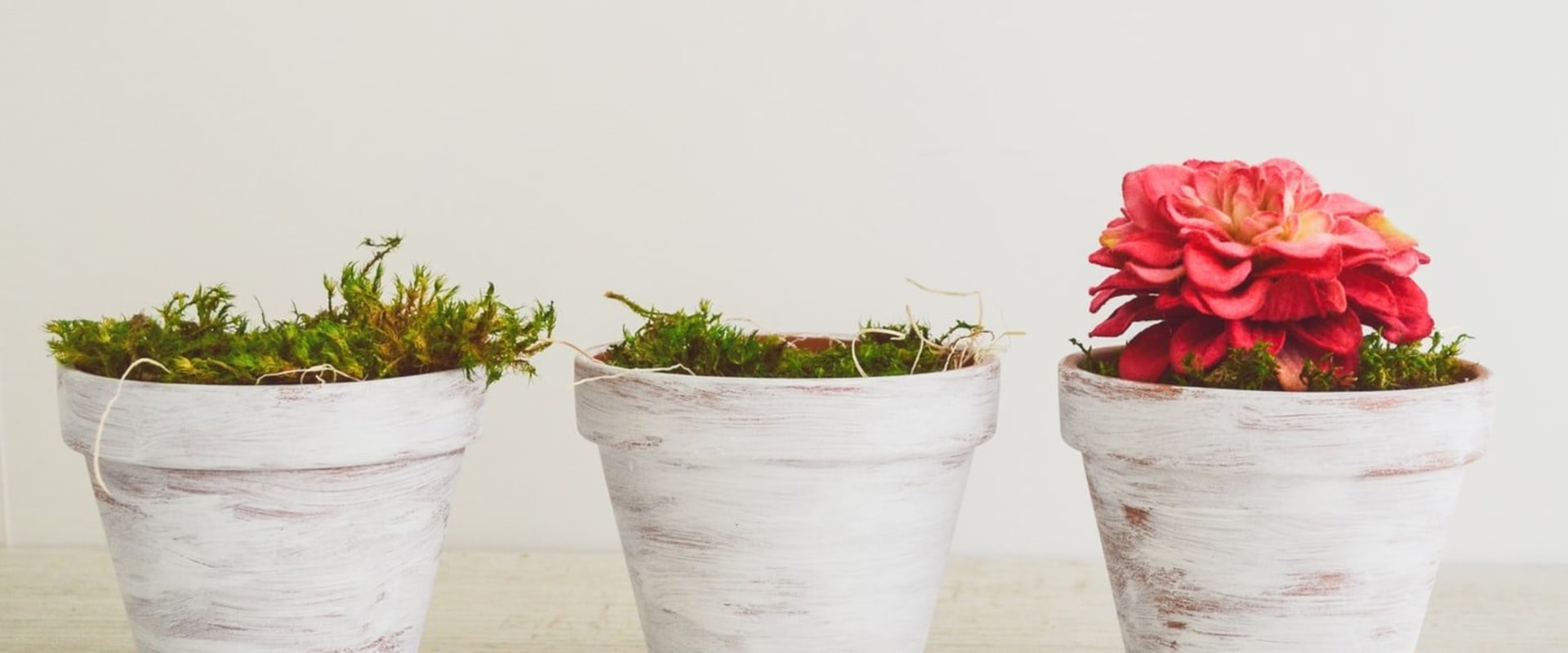 Maximizing Engagement in Executive Coaching for Maximum ROI