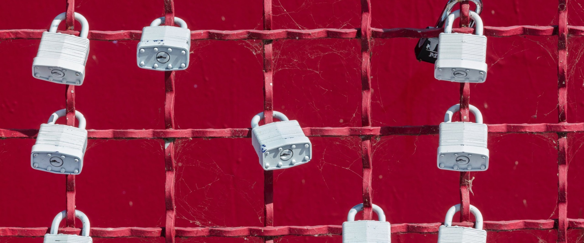 Unlock Your Leadership Potential: The Benefits of Executive Coaching