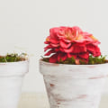 Maximizing Engagement in Executive Coaching for Maximum ROI
